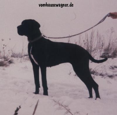 Kriemhilde Vom Hause Wagner