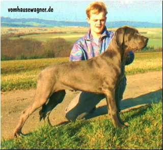 Ch Natascha Vom Hause Wagner