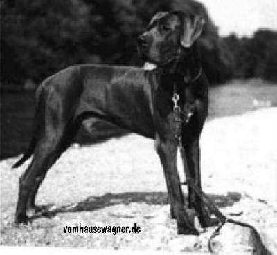 Nathan Vom Hause Wagner