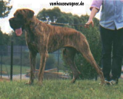 Ocatvio Vom Hause Wagner