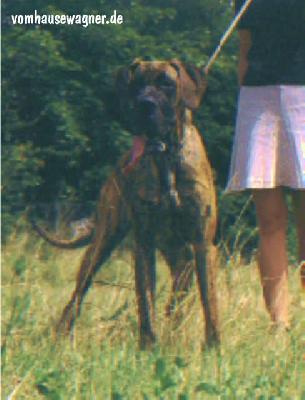 Odette Vom Hause Wagner