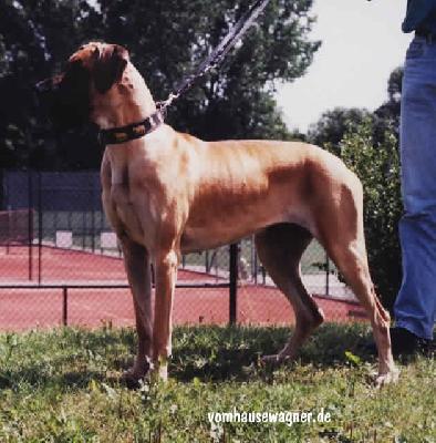 Olympia Vom Hause Wagner