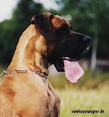 Organza Vom Hause Wagner