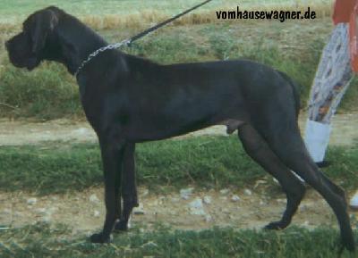 Quantum Vom Hause Wagner