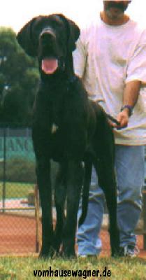 Quentin Vom Hause Wagner