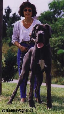 Ramon Vom Hause Wagner