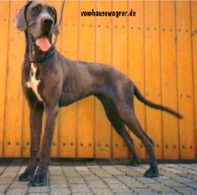 Ronja Vom Hause Wagner