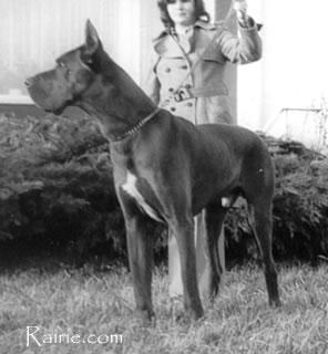 Iwan Vom Schafgarten