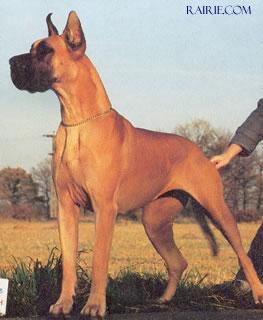 Ch Farah Von Aquator