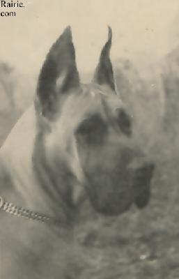 Amarille Von Aquis Gran