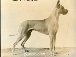 Akbar Von Blankenese