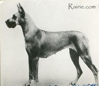 Ch Amely Von Blankenese