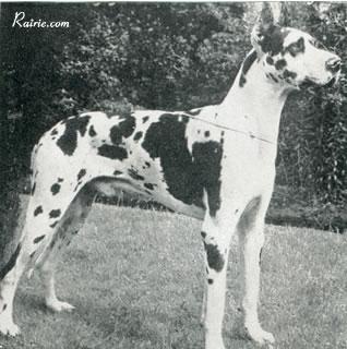 Eick Von Den Freien Hansestadt Bremen