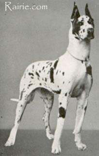 Peggy Von Der  Trattnach