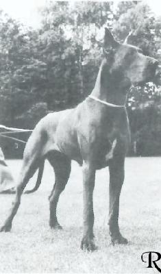 Bionda Von Der Bocksleite