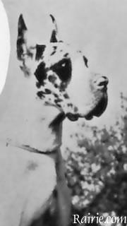 Quatro Von Der Brentjes