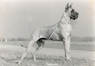 Carlo Von Der Haard Burg