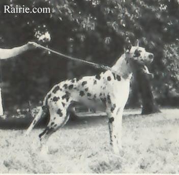 Ivanhoe Von Der Haardburg