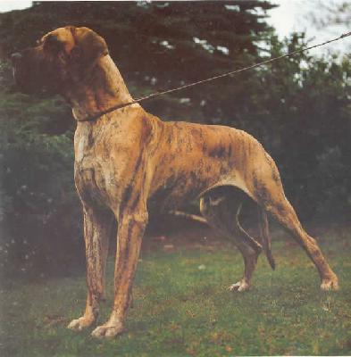 Ilko Von Der Honnequelle