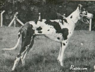 Fant Von Der Kreuzschanze