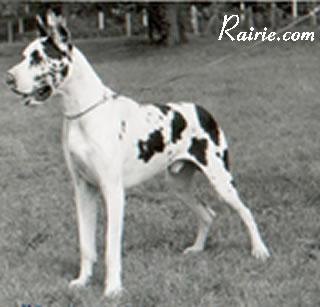 Marko Von Der Kreuzschanze