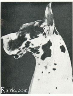 Ch Tantalus Von Der Kreuzschanze