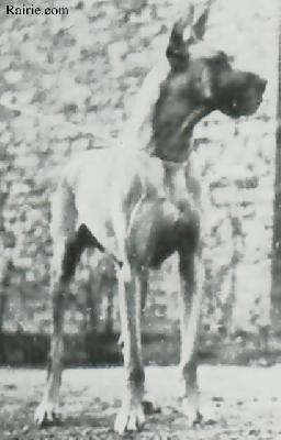 Wotan Von Der Kreuzschanze