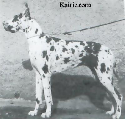 Carmen Von Der Nurburg