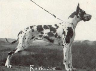 Gunda Von Der Nurburg