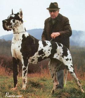 Peggy Von Der Nurburg