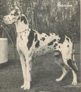 Ch Quant Von Der Nurburg