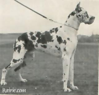 Ch Quant Von Der Nurburg