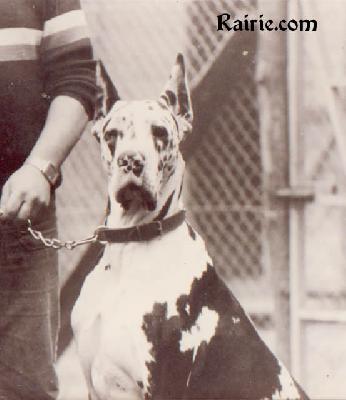 Sandra Von Der Nurburg