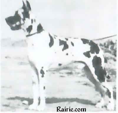 Xantos Von Der Nurburg