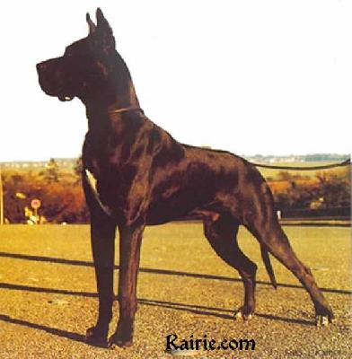 Ch Frey Von Der Ofneth�hle