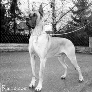 Ch Ulf Von Der Ofnethohle