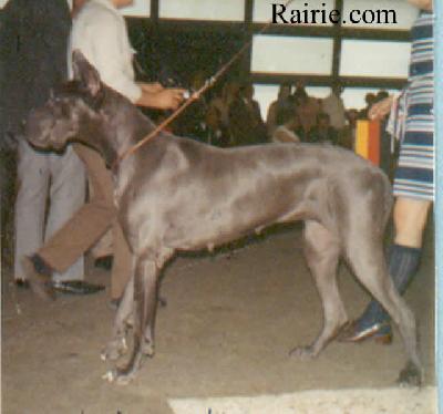 Desiree Royal Von Der Ordensburg