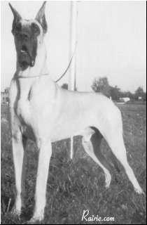 Aladin Von Der Romantischen Strasse