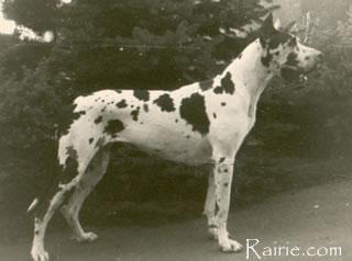 Ch Cosyma Von Der Rosshalde