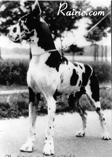 Ch Kalif Von Der Rotburg