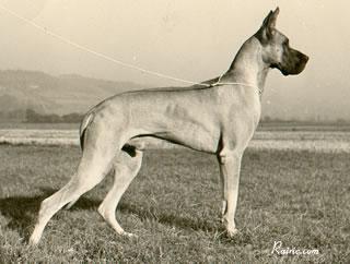 Atilla Von Der Stadt Hamburg