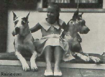 Brillant Von Der Stadt Hamburg