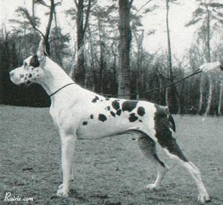 Ch Jagla Von Der Stadt Hamburg