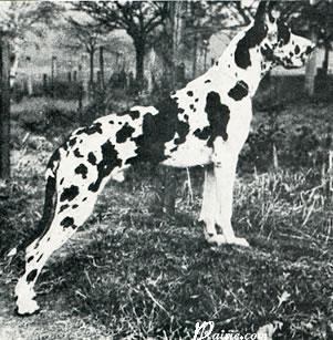 King Von Der Stadt Hamburg