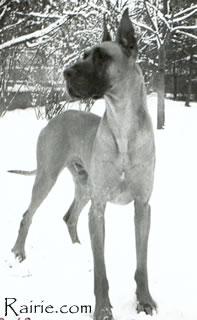 Ch Orlow Von Der Stadt Hamburg