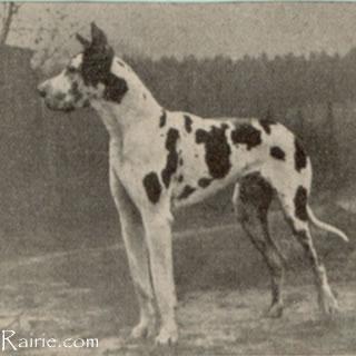 Wisky Von Der Stadt Hamburg