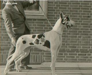Ch Wodka Von Der Stadt Hamburg