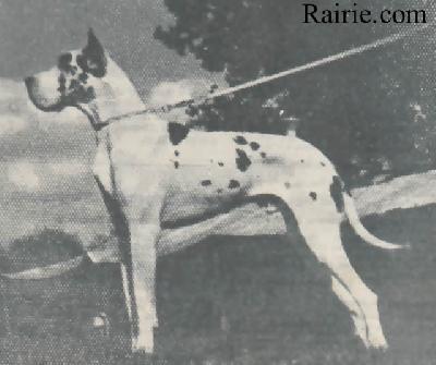 Ingo Von Der Traumburg