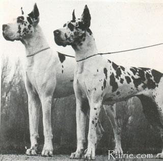 Ingo Von Der Traumburg