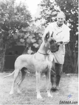 Elgo Von Ferndorftal